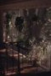 ba48a50745376963ebed9293b4a331c2.jpeg