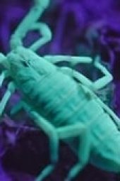 3mAEwJ6lLnfdjRV6eLxNaK0kmn6